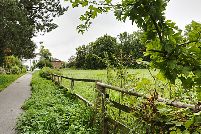 Ulrich Simons - Hasselholzer Weg